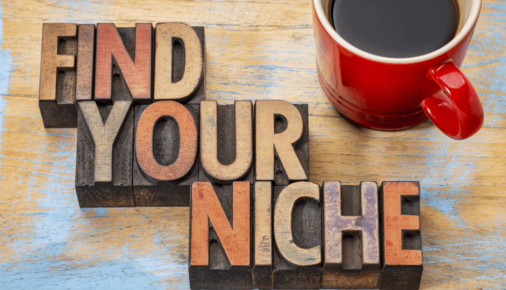 Find Your Niche Getting Started-In 4 Steps for Beginners and Retirees